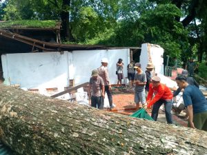 Pohon Randu 200 Tahun Tumbang di Gunung Jati, Situs Walisongo Rusak Diterjang Cuaca Ekstrem