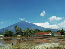 Air Sungai Cipaniis Disedot PDAM, DPRD Jabar Bereaksi: Petani Cirebon Tumbang, IP Padi Ambruk!